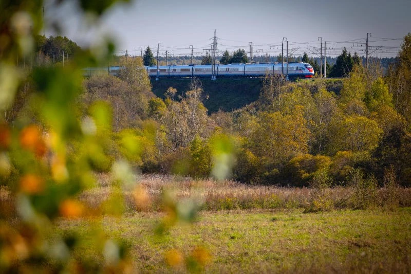РЖД удвоили количество мест в «Сапсанах» на фоне проблем с перелетами - tvspb.ru