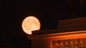 Кино и песни Ленинграда. Лунное затмение