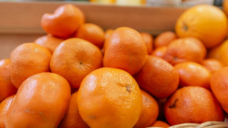 Свыше 200 тонн цитрусовых из ЮАР не пустили в Петербург из-за опасных насекомых - tvspb.ru