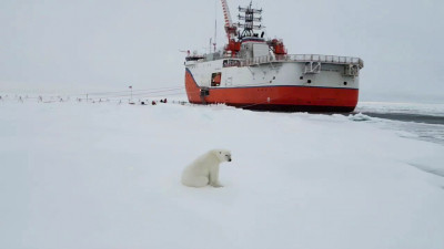 Свидетель — белый медведь: полярники дрейфующей станции «Северный полюс-42» развернули новый научный лагерь на льду