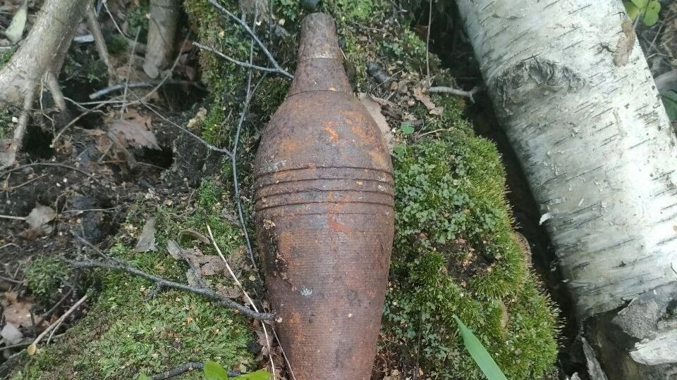 Петербурженка во время прогулки по Удельному парку нашла миномётную мину - tvspb.ru