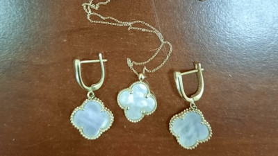 Петербургская полиция выяснила, кто украл сумку москвички с вещами, стоимостью более 1,6 млн рублей