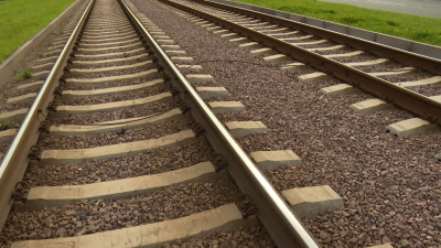 Участок Токсовской улицы перекроют из-за ремонта трамвайных путей