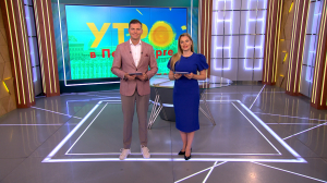 Утро в Петербурге 5 сентября