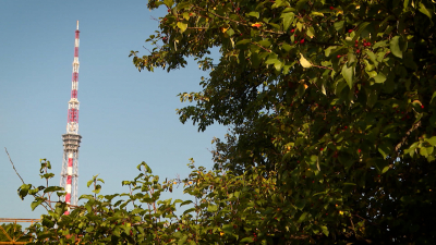 Солнечно, тепло и без осадков: чего ждать от погоды в Петербурге 11 сентября