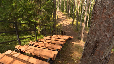 В заказнике «Новоорловский» осенью 2025 года благоустроят 3 км новой экотропы