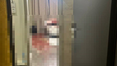 Приезжий пригласил школьницу в отель на Витебском проспекте, убил ее и порезал ножом себя