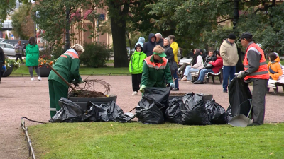 Садовники и дорожники Петербурга переходят на осенний режим работ