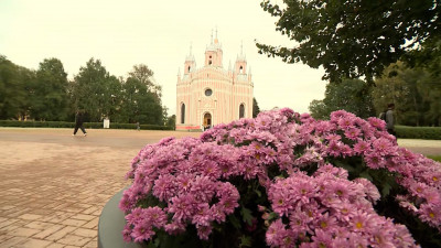 Символ солнца: Московский район украсили хризантемы