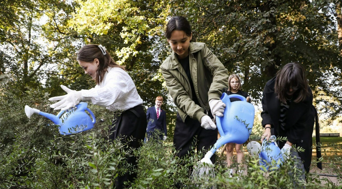 В Петербурге появится более 10 тысяч новых деревьев, горожан приглашают поучаствовать в озеленении - tvspb.ru