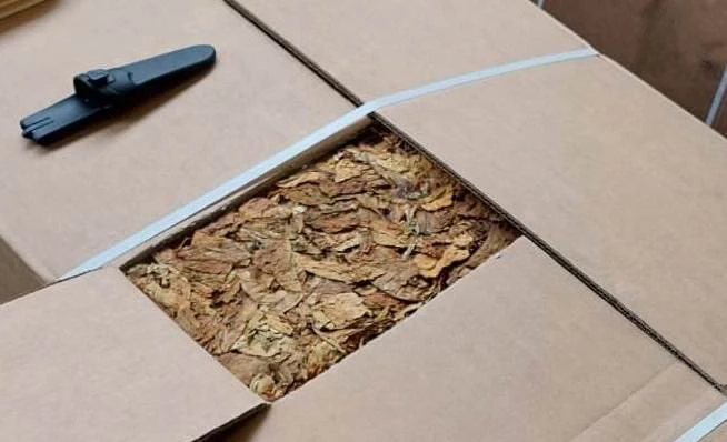 Свыше 55 тонн табачного сырья не пустили в Петербург из-за опасных насекомых - tvspb.ru