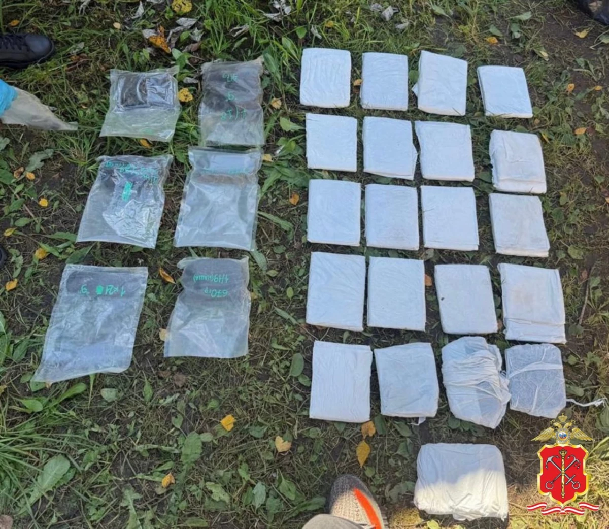 В Петербурге и Ленобласти задержали двоих наркодилеров — изъято более 15 кг «запрещенки» - tvspb.ru