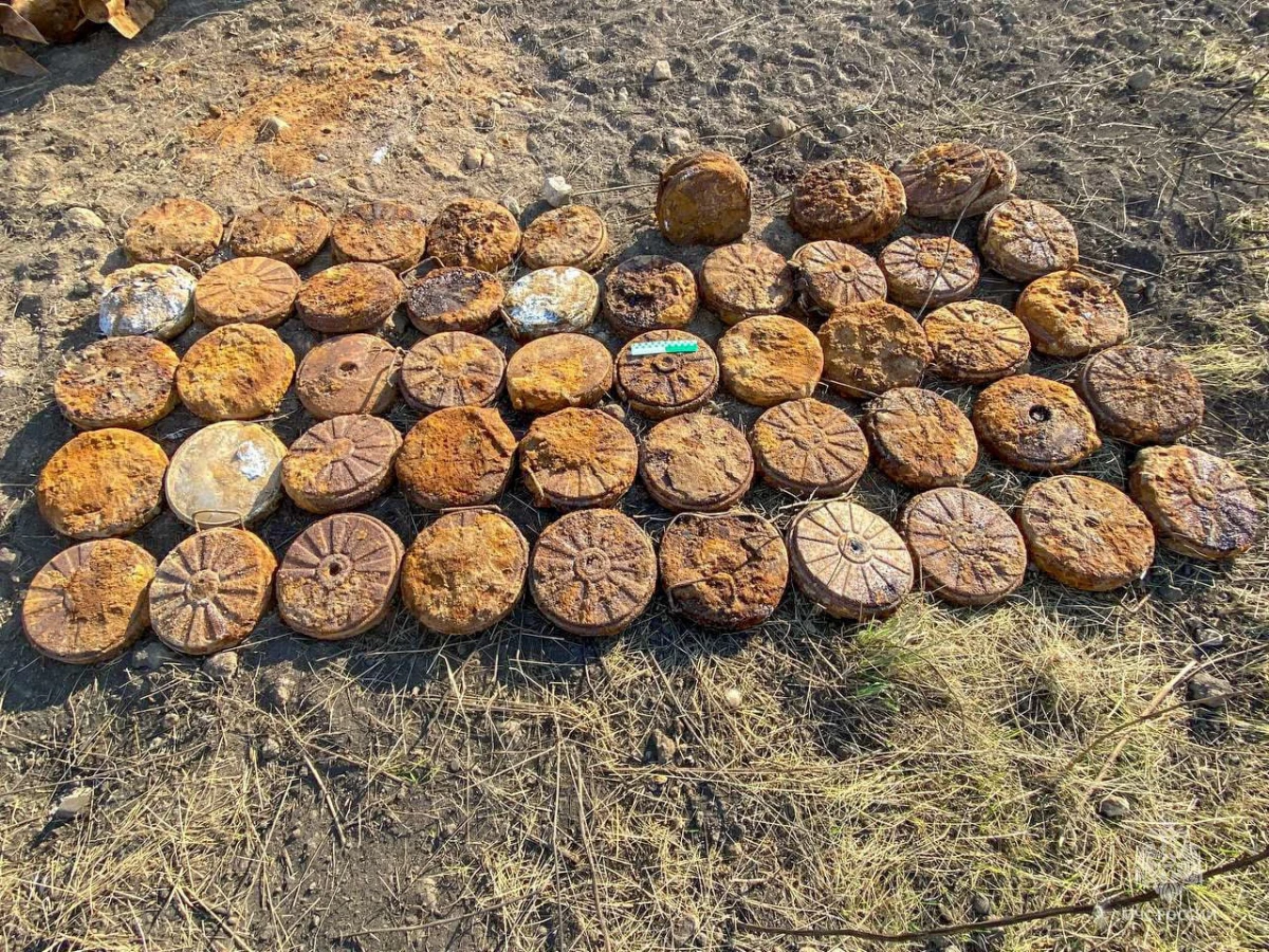 МЧС Петербурга уничтожило 5 авиабомб и 51 противотанковую мину времен Великой Отечественной войны - tvspb.ru