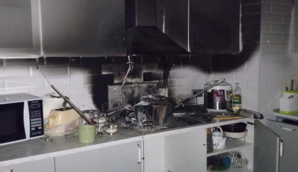 Петербургский кот устроил пожар на кухне, пройдясь по плите - tvspb.ru