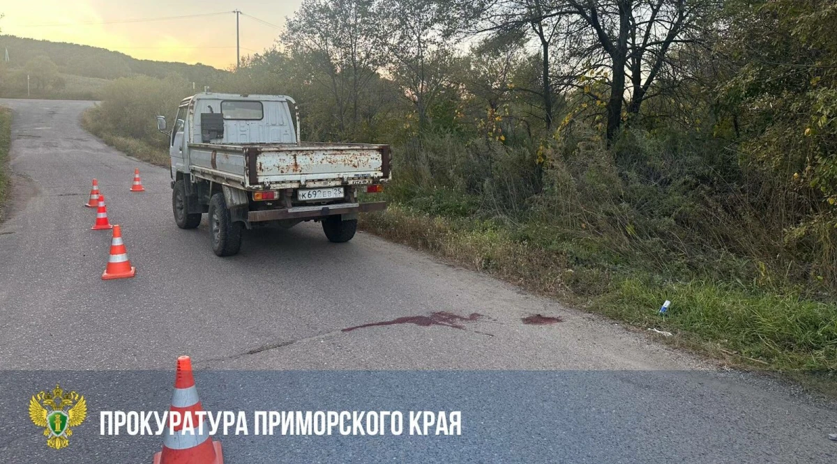 В Приморье две 10-летние девочки выпали из кузова грузовика, одна погибла - tvspb.ru