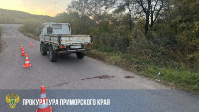 В Приморье две 10-летние девочки выпали из кузова грузовика, одна погибла