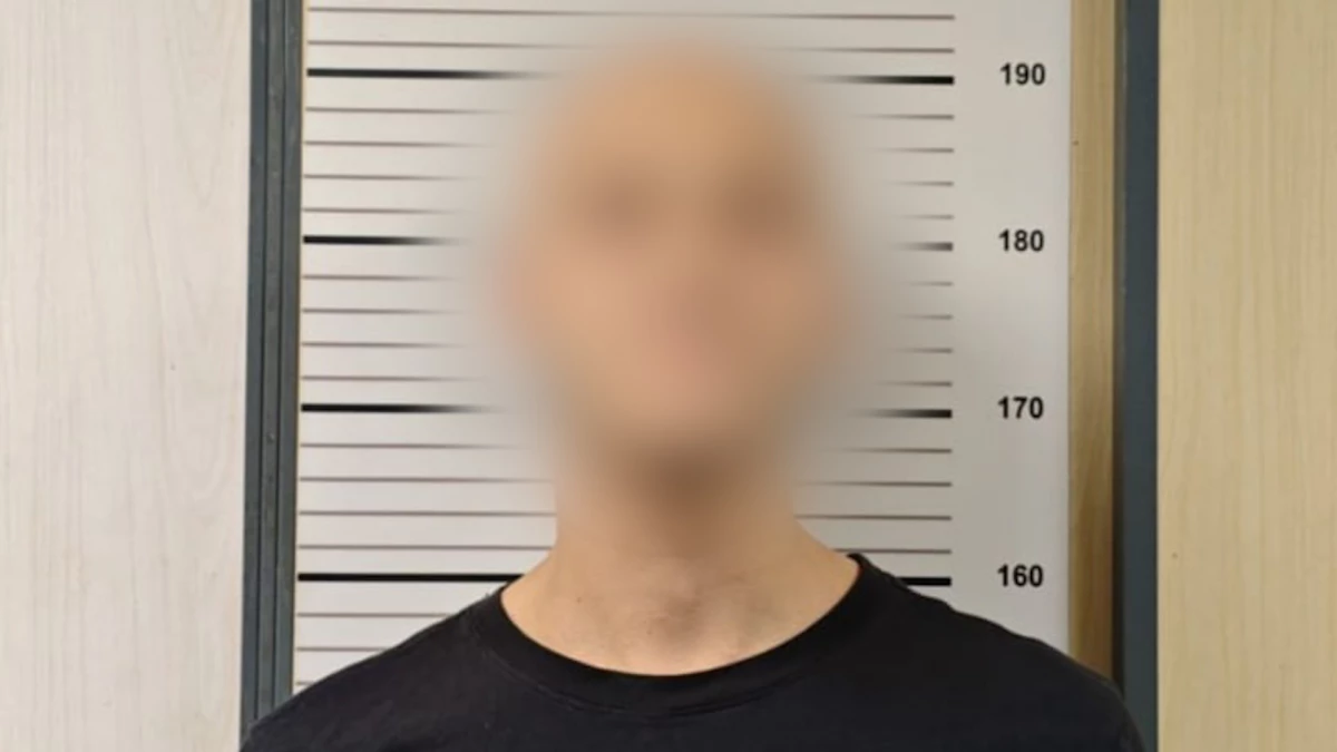 Полицейские поймали хулигана, который в Парголово молотком разбил стекло в автобусе - tvspb.ru