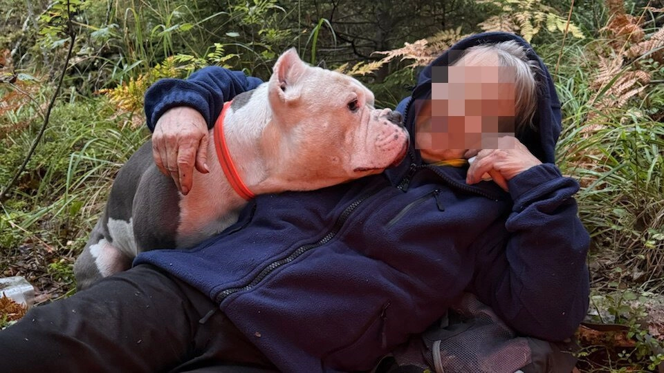 83-летнюю женщину, заблудившуюся в лесу под Выборгом, искали четыре дня - tvspb.ru