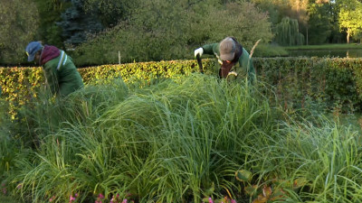 В парке Екатерингоф обустраивают осенние цветники