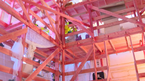 Вернуть первозданный вид: в Мариинском дворце реставрируют вестибюль главного входа и парадную лестницу