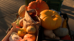 «Дары осени» для Ленинградского зоопарка