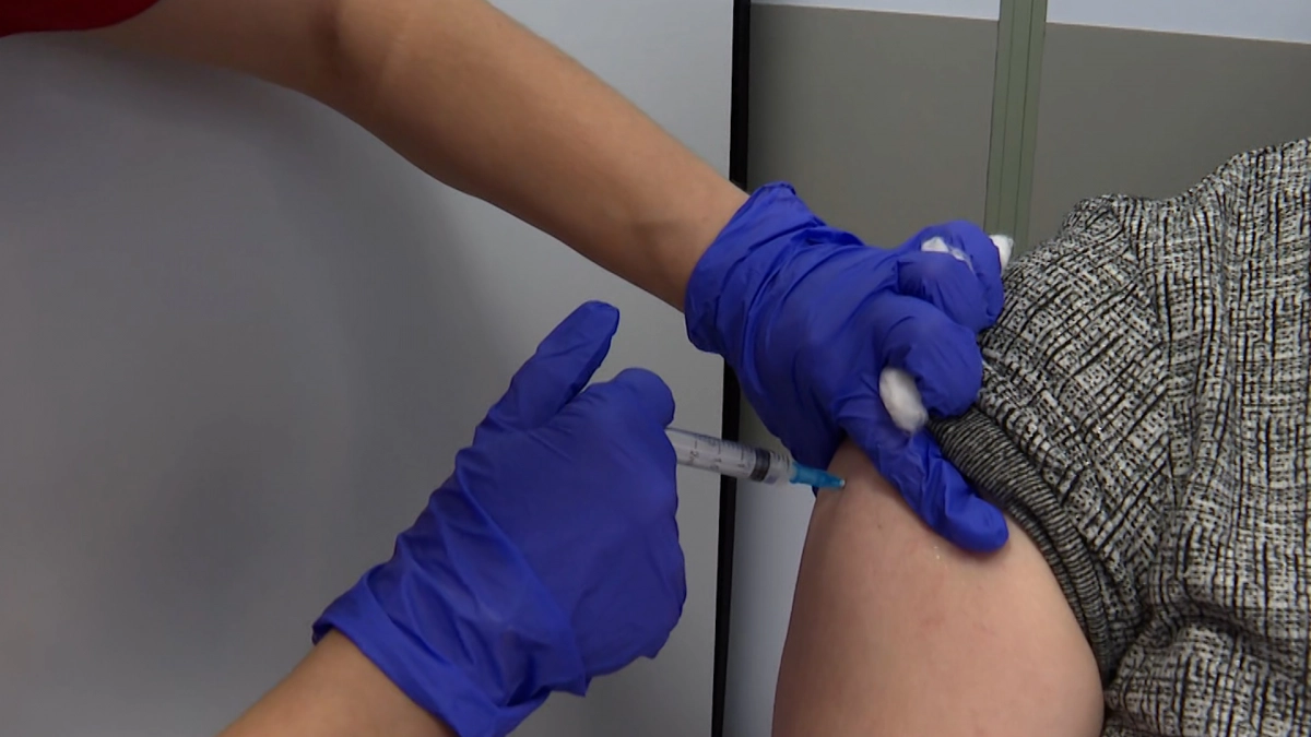 Комздрав: В Петербурге нет дефицита вакцины от бешенства, закуплено более 18 тысяч доз - tvspb.ru