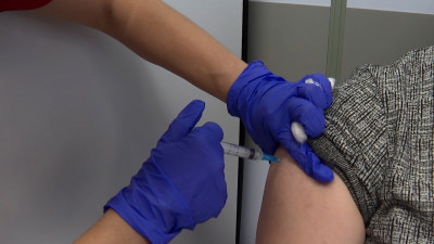 Комздрав: В Петербурге нет дефицита вакцины от бешенства, закуплено более 18 тысяч доз