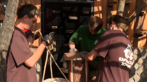 В Ленинградском зоопарке обновляют вольеры для животных