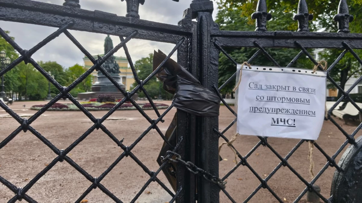 Петербуржцев просят не ходить в парки, пока бушует ветер - tvspb.ru