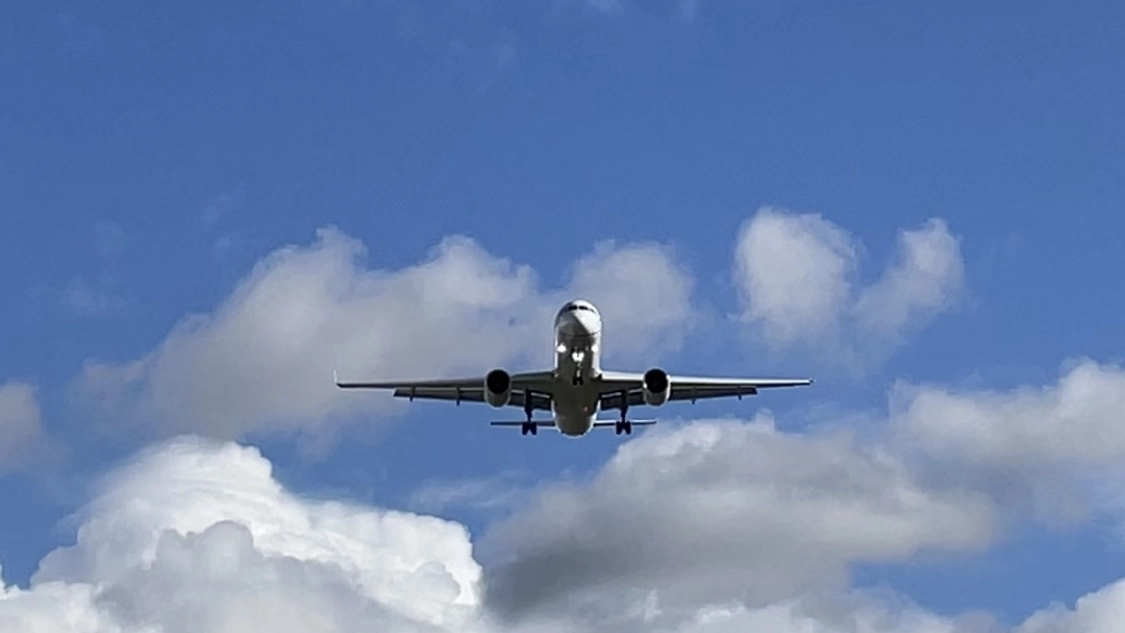 Из Каракаса в Петербург запустили прямые рейсы - tvspb.ru