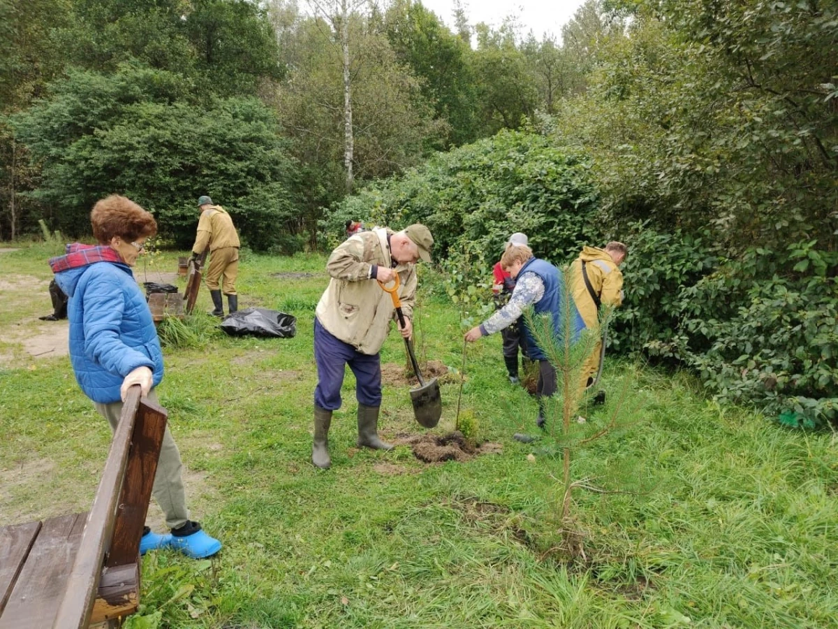В Петродворцовом и Курортном районах высадили первые 83 дерева в рамках акции «Сохраним лес» - tvspb.ru