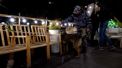 У пожилых гостей дебаркадера на Мытнинской набережной нашли пакетики с запрещённым