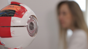 Как предотвратить близорукость и что делать, если она уже возникла?