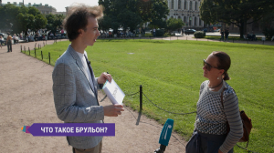 Пря, зеленя, уймище и колотовка. Петербуржцы пытаются разгадать смысл слов, которые встречаются в произведениях философа, педагога, признанного во всём мире писателя Льва Николаевича Толстого