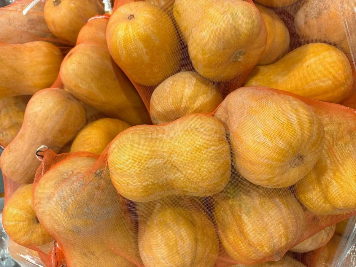 Россельхознадзор в Петербурге проверил 20 тонн тыквы из Узбекистана - tvspb.ru