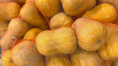 Россельхознадзор в Петербурге проверил 20 тонн тыквы из Узбекистана