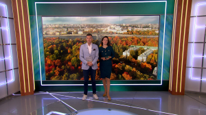 Утро в Петербурге 26 сентября