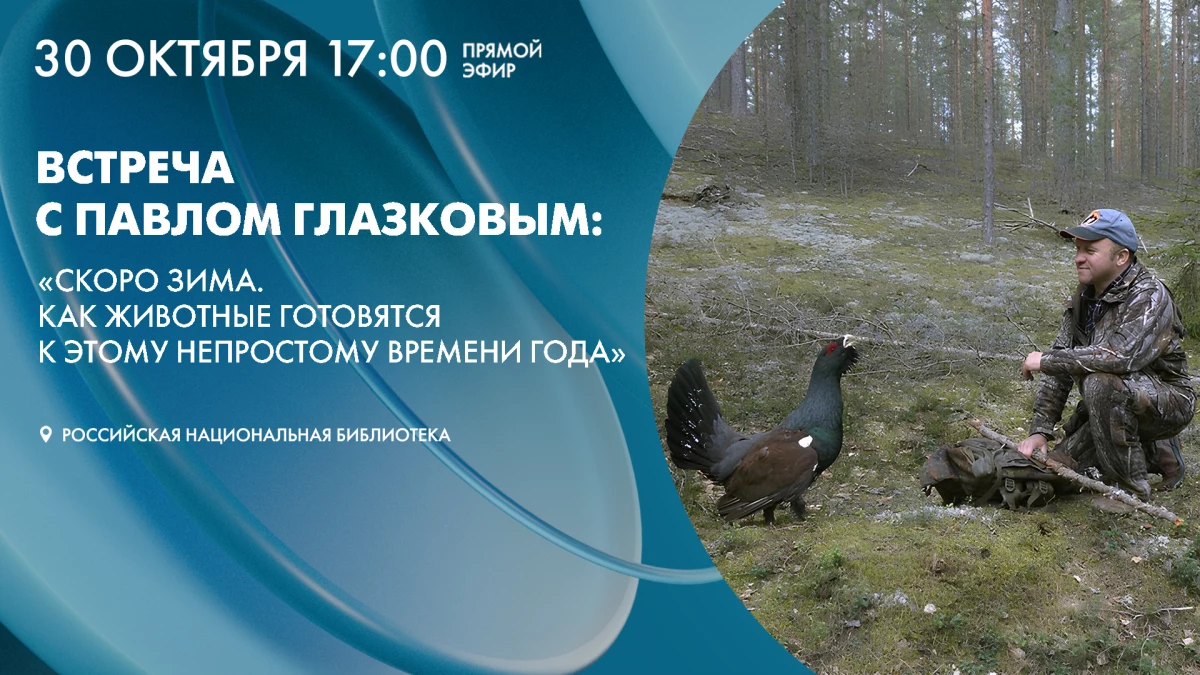 Смотрите завтра трансляцию встречи с Павлом Глазковым: «Как животные готовятся к зиме?» - tvspb.ru