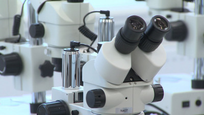 Петербургские ученые разрабатывают систему для диагностики последствий ковида