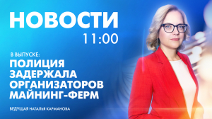 Новости Петербурга к 11:00