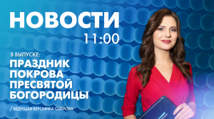 Новости Петербурга к 11:00