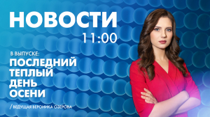 Новости Петербурга к 11:00
