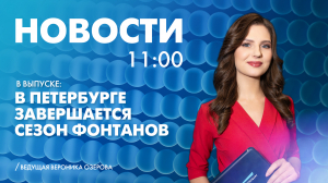 Новости Петербурга к 11:00