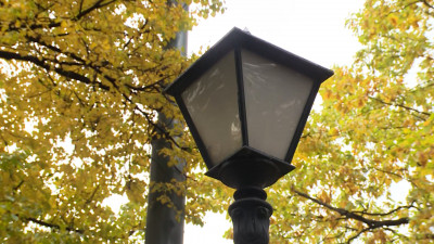 В саду Салтыкова-Щедрина обновят систему освещения к юбилею писателя