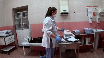 Петербуржцам предлагают бесплатное кардиологическое обследование