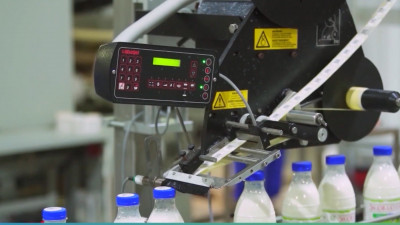 Александр Беглов определил порядок предоставления субсидий на закупку оборудования для обязательной маркировки молочной продукции