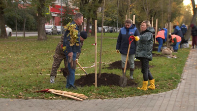 Очистка и озеленение территорий: что запланировано на осенний месячник благоустройства в Петербурге