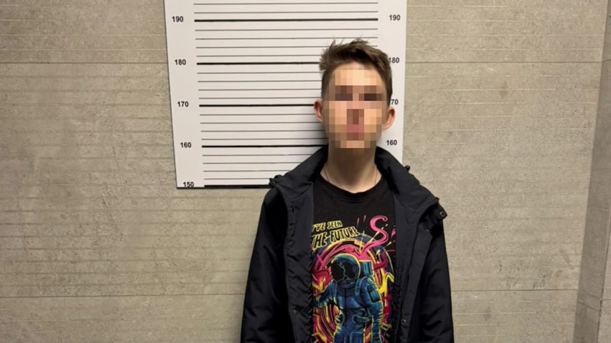 21-летнего курьера, обманувшего пенсионерку на 350 тыс. рублей, задержали в Янино - tvspb.ru