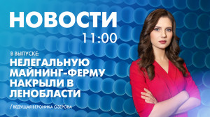Новости Петербурга к 11:00