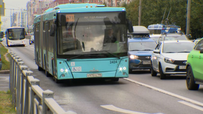 На Комендантском проспекте открыли выделенную полосу для общественного транспорта